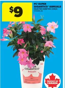 Real Canadian Superstore PC SUPER GIGANTICO ANNUALS, 6 INCH offer