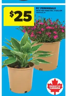 Real Canadian Superstore PC PERENNIALS, 2 GALLON offer