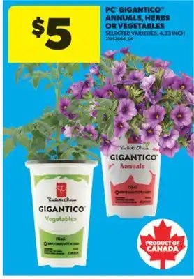 Real Canadian Superstore PC GIGANTICO ANNUALS, HERBS OR VEGETABLES, 4.33 INCH offer