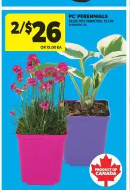 Real Canadian Superstore PC PERENNIALS, 15 CM offer