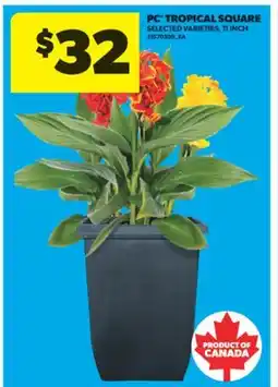 Real Canadian Superstore PC TROPICAL SQUARE, 11 INCH offer