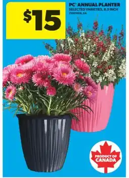 Real Canadian Superstore PC ANNUAL PLANTER, 8.5 INCH offer