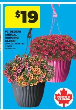 Real Canadian Superstore PC DELUXE ANNUAL HANGING BASKET, 11 INCH offer