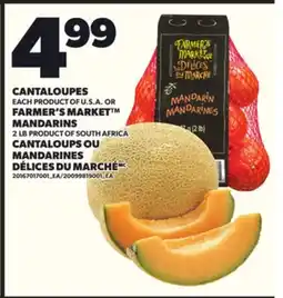 Independent Grocer CANTALOUPES OR FARMER'S MARKET MANDARINS, 2 LB offer