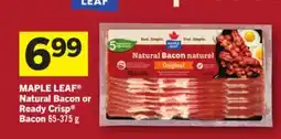 Foodland MAPLE LEAF Natural Bacon or Ready Crisp Bacon offer