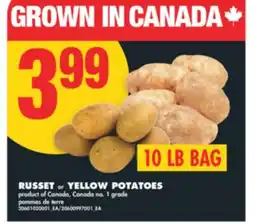 No Frills RUSSET OR YELLOW POTATOES, 10 LB BAG offer