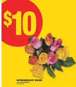 No Frills INTERMEDIATE ROSES offer