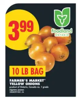 No Frills FARMER'S MARKET YELLOW ONIONS, 10 LB BAG offer