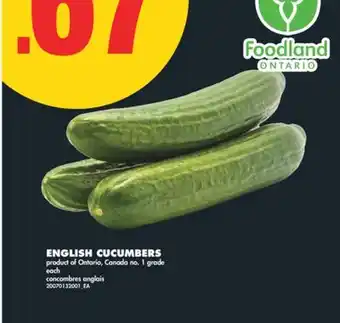 No Frills ENGLISH CUCUMBERS offer
