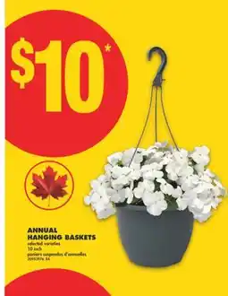No Frills ANNUAL HANGING BASKETS, 10 inch offer