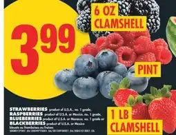No Frills STRAWBERRIES, 1 LB CLAMSHELL RASPBERRIES, PINT BLUEBERRIES, PINT, BLACKBERRIES 6 OZ CLAMSHELL offer