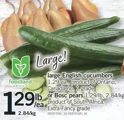 Fortinos LARGE ENGLISH CUCUMBERS OR BOSC PEARS offer