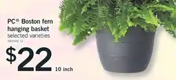 Fortinos PC BOSTON FERN HANGING BASKET, 10 inch offer