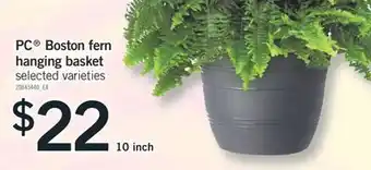 Fortinos PC BOSTON FERN HANGING BASKET, 10 inch offer