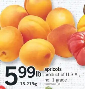 Fortinos APRICOTS offer