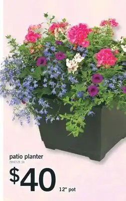 Fortinos PATIO PLANTER 12 POT offer