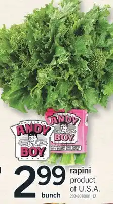 Fortinos RAPINI offer