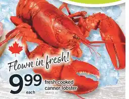 Fortinos FRESH COOKED CANNER LOBSTER offer