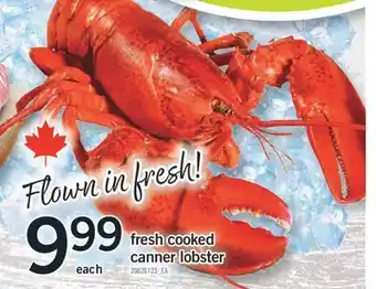 Fortinos FRESH COOKED CANNER LOBSTER offer
