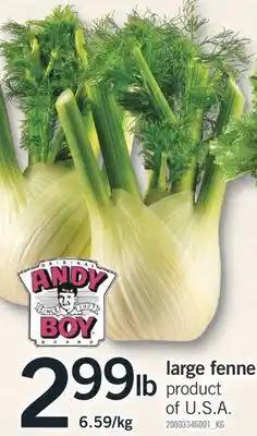 Fortinos LARGE FENNEL offer
