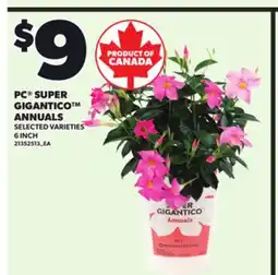 Loblaws GIGANTICO ANNUALS, 6 INCH offer