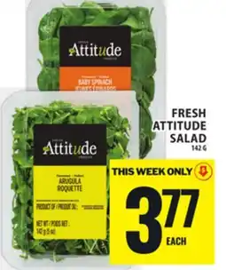 Food Basics FRESH ATTITUDE SALAD offer