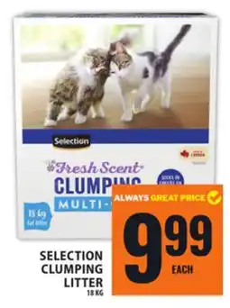 Food Basics SELECTION CLUMPING LITTER offer