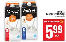 Food Basics NATREL LACTOSE FREE MILK offer