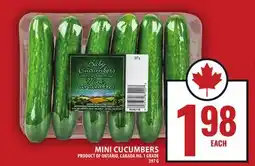 Food Basics MINI CUCUMBERS offer