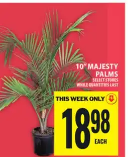 Food Basics 10 MAJESTY PALMS offer