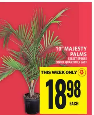 Food Basics 10 MAJESTY PALMS offer
