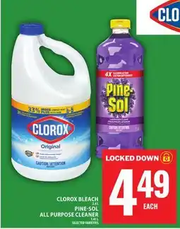 Food Basics CLOROX BLEACH OR PINE-SOL ALL PURPOSE CLEANER offer