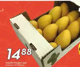Sobeys Ataulfo Mango Case offer