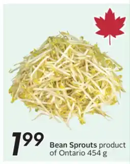Sobeys Bean Sprouts offer