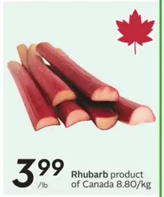 Sobeys Rhubarb offer
