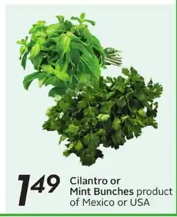 Sobeys Cilantro or Mint Bunches offer
