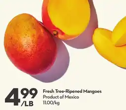 Longo's Fresh Tree-Ripened Mangoes offer