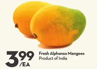 Longo's Fresh Alphonso Mangoes offer