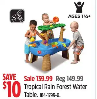 Canadian Tire Step 2 Tropical Rain Forest Water Table offer