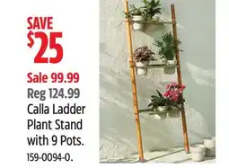 Canadian Tire Canvas Calla Ladder Plant Stand with 9 Pots offer