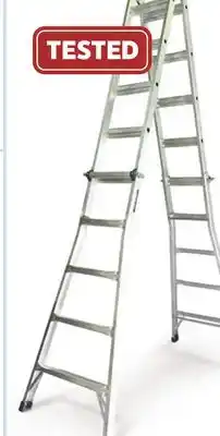 Canadian Tire Mastercraft Ladder offer