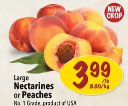 Farm Boy Large Nectarines or Peaches offer