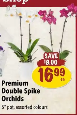Farm Boy Premium Double Spike Orchids offer