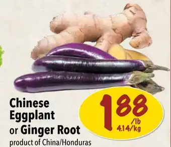 Farm Boy Chinese Eggplant or Ginger Root offer