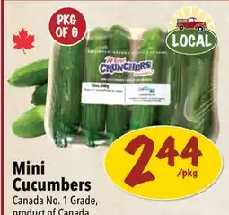 Farm Boy Mini Cucumbers offer