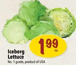 Farm Boy Iceberg Lettuce offer