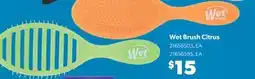 Real Canadian Superstore WET BRUSH CITRUS offer