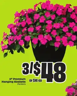 FreshCo 11 Premium Hanging Baskets offer