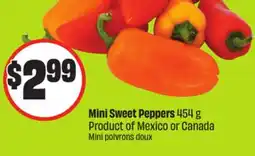 FreshCo Mini Sweet Peppers 454 g Product of Mexico or Canada Mini offer