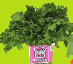 FreshCo Rapini Product of USA offer